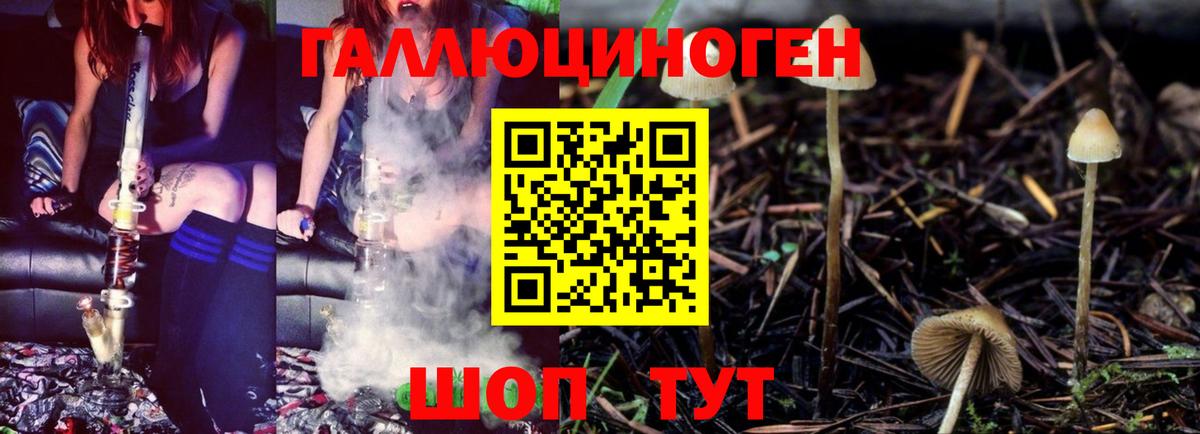 Псилоцибиновые грибы GOLDEN TEACHER  Галлюциногенные грибы GOLDEN TEACHER  Вход с VPN  Мурманск 